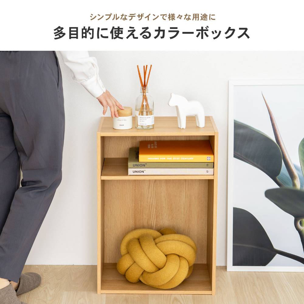 LIFELEX　２段カラーボックス　可動棚　オーク　β オーク 2段 可動棚