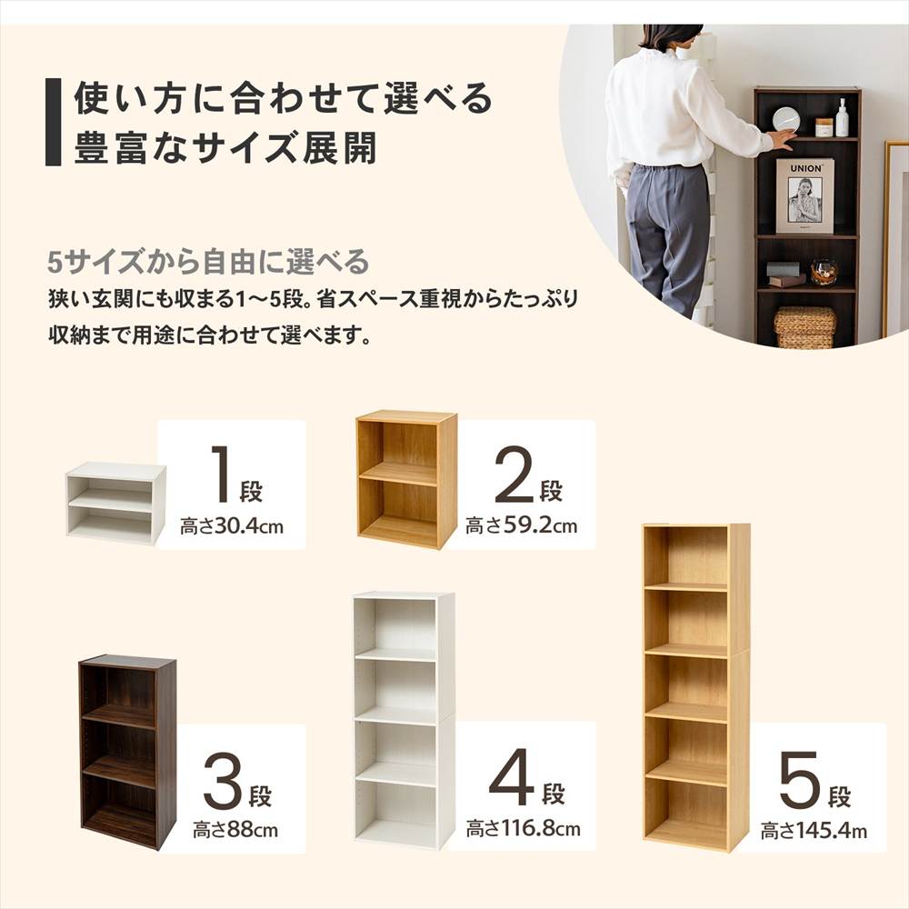 LIFELEX 2段カラーボックス 可動棚 ダークブラウン β ダークブラウン 2段 可動棚
