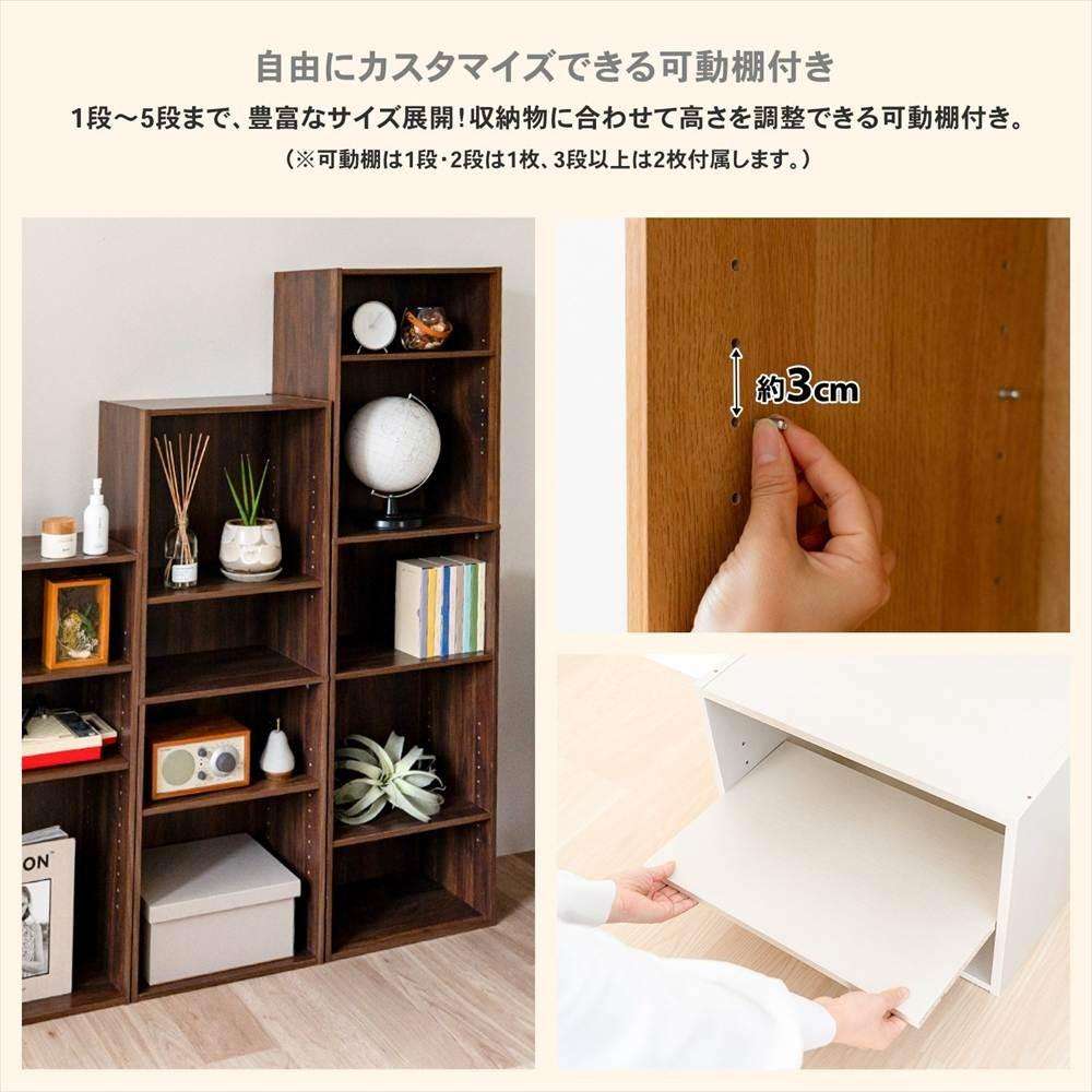 LIFELEX 2段カラーボックス 可動棚 ダークブラウン β ダークブラウン 2段 可動棚