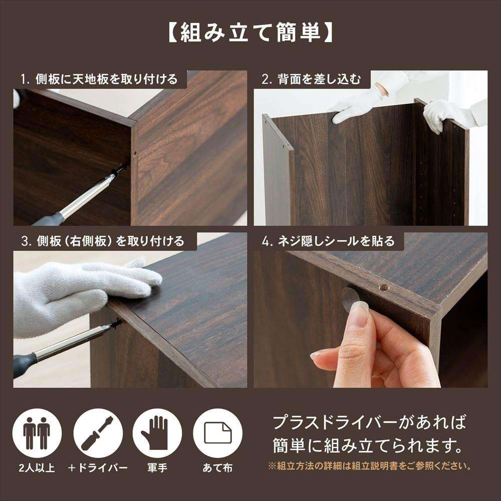 LIFELEX 2段カラーボックス 可動棚 ダークブラウン β ダークブラウン 2段 可動棚