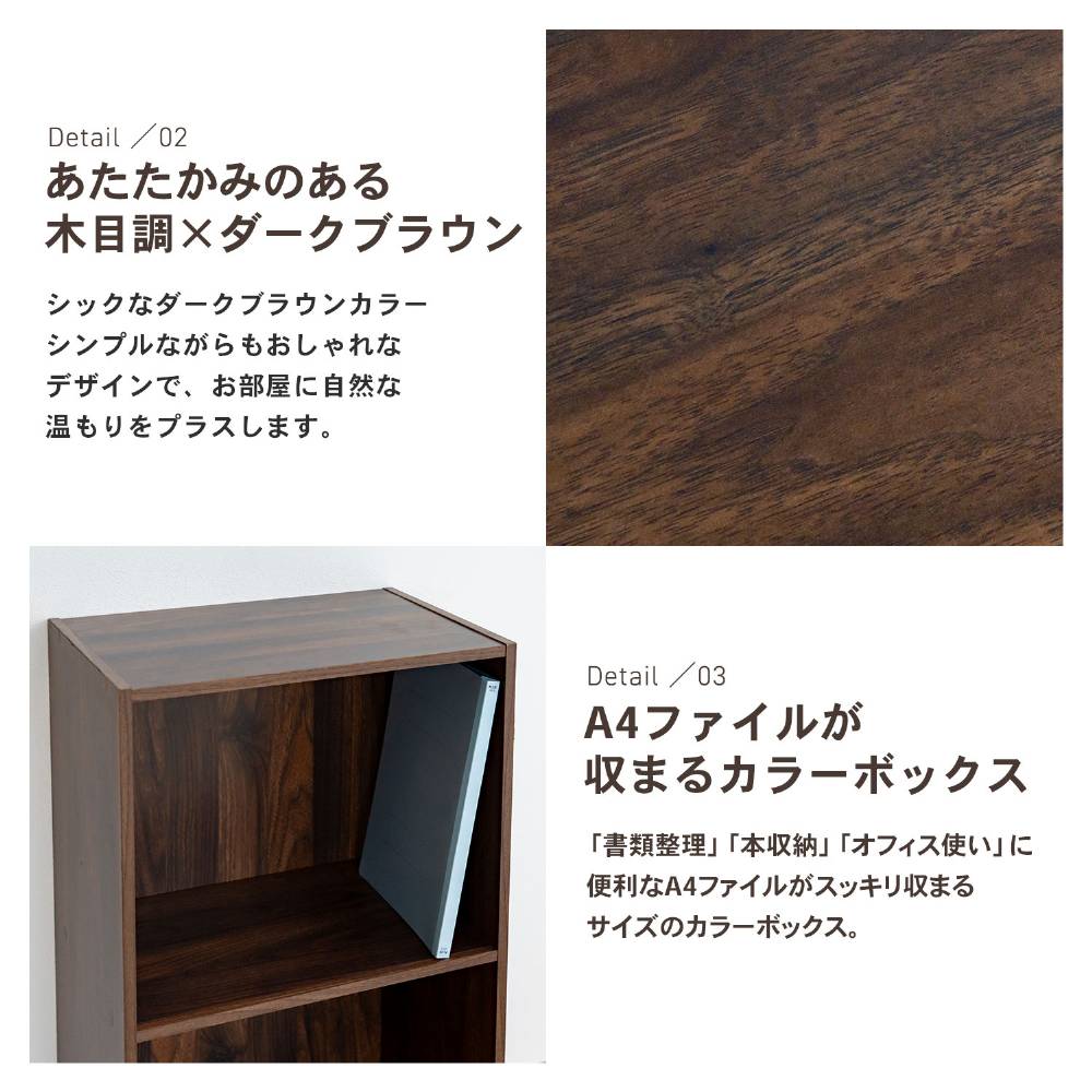 LIFELEX　２段Ａ４カラーボックス　ダークブラウン　β ダークブラウン 2段 A4