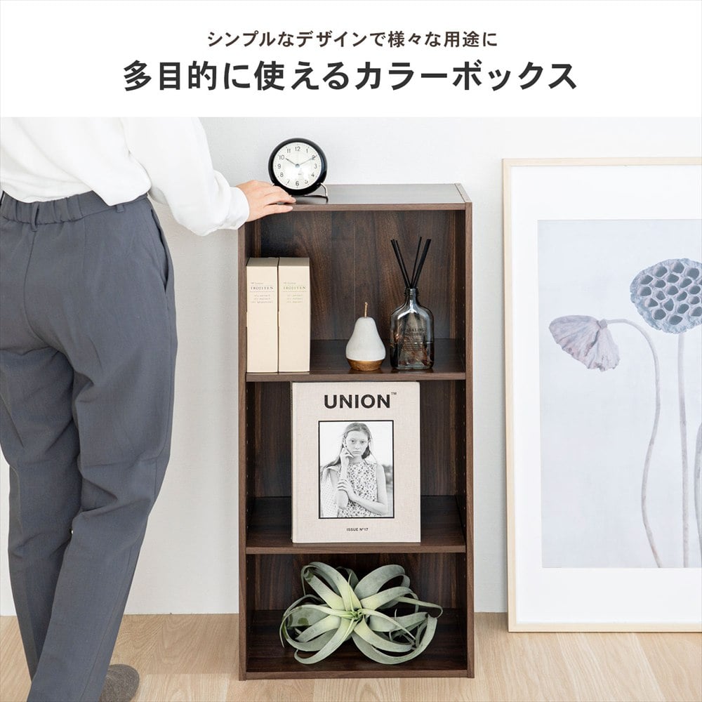 LIFELEX 3段カラーボックス 可動棚 ダークブラウン β ダークブラウン 3段 可動棚