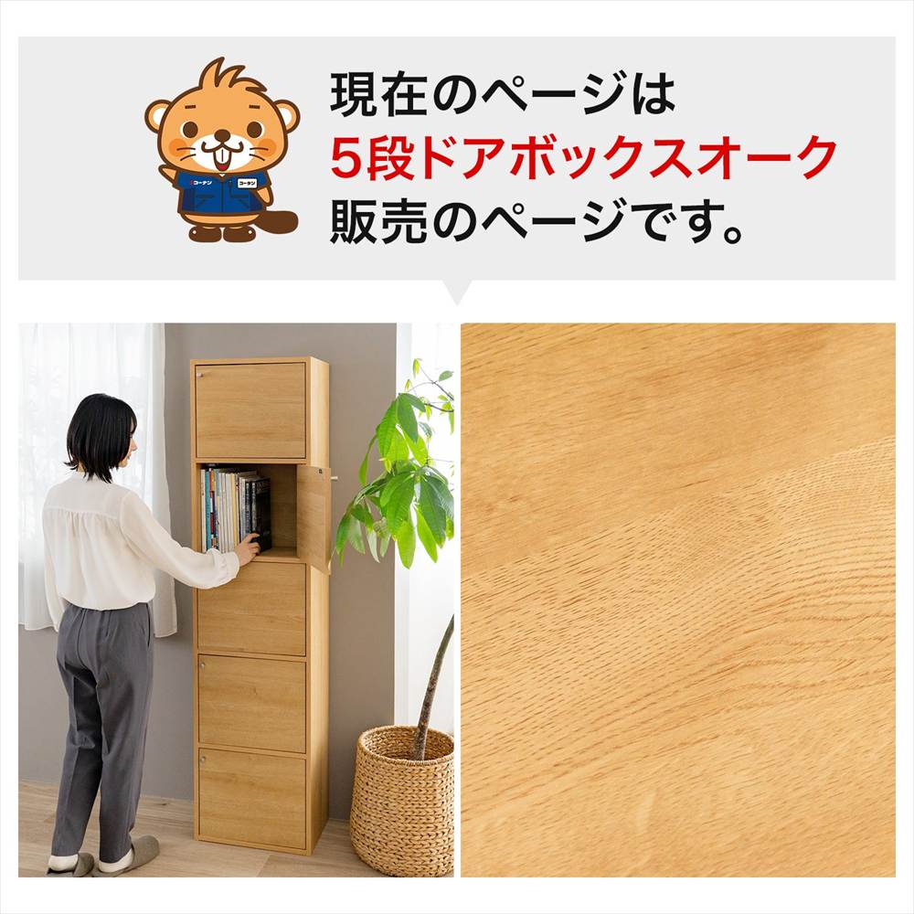 5段ドアボックスオーク