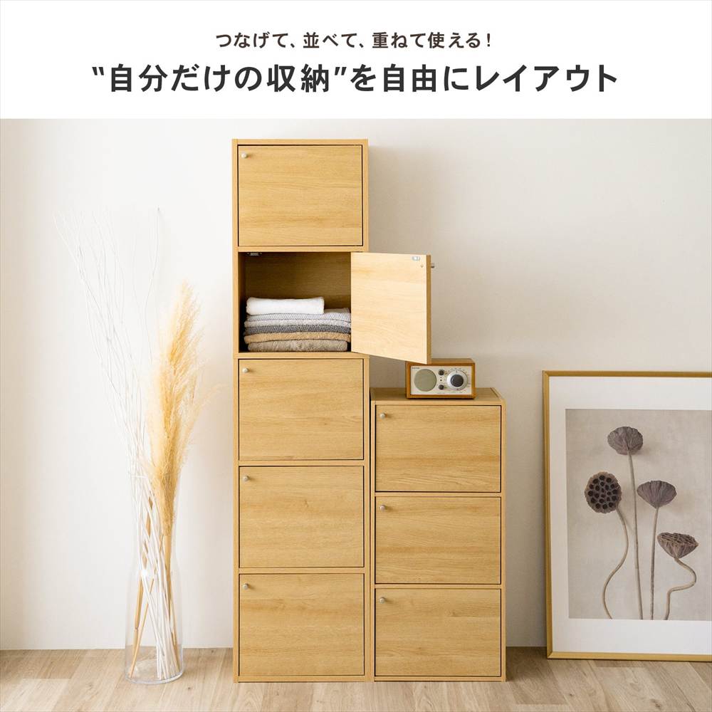 LIFELEX 5ドアボックス ダークブラウン β ダークブラウン 5ドア