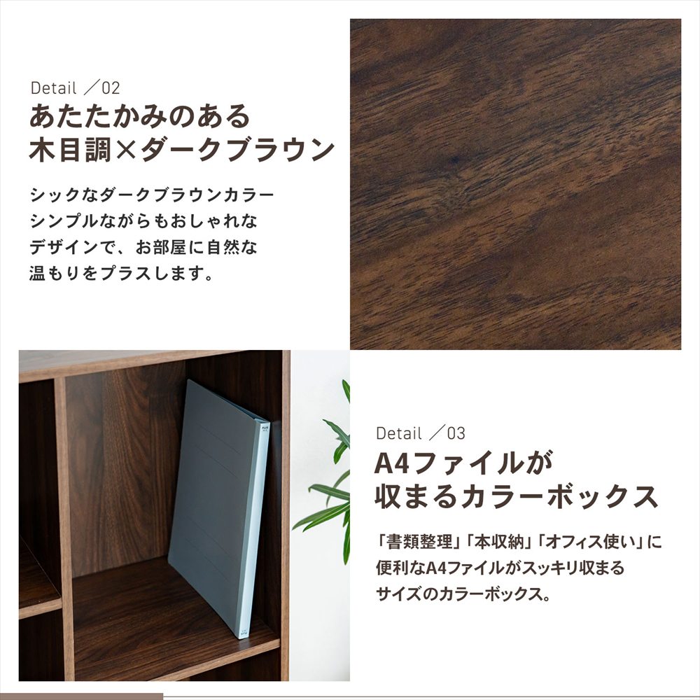 LIFELEX ホームカラーボックス ダークブラウン β ダークブラウン ホーム