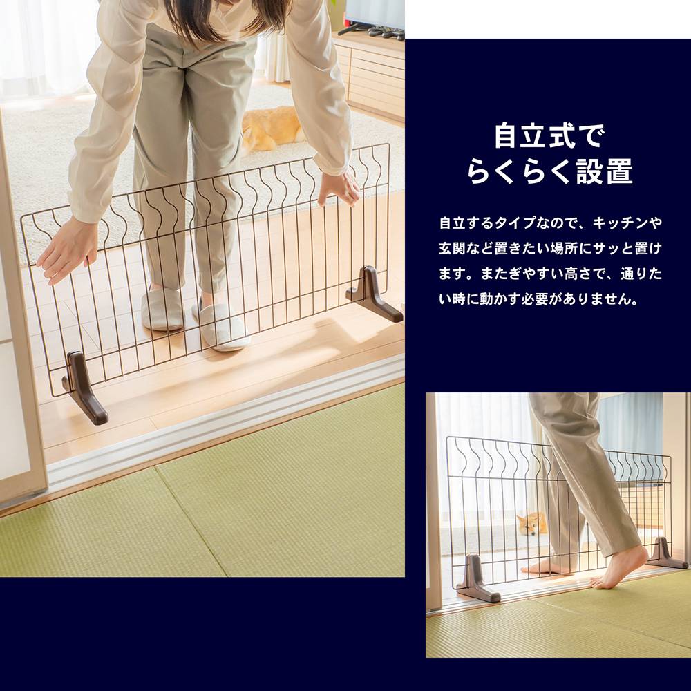LIFELEX 簡易ペットフェンス 900(900): ペット LIFELEX 簡易ペットフェンス 900(900): ペット