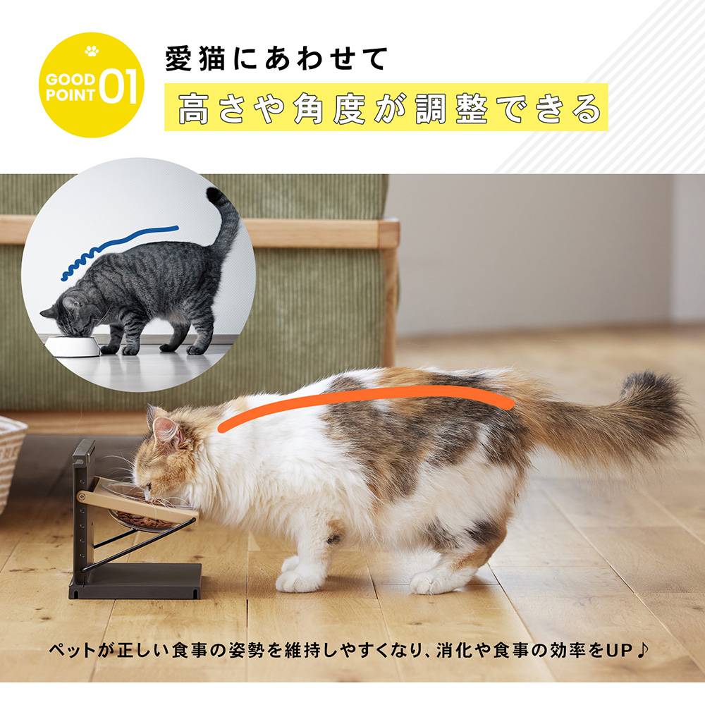 LIFELEX 高さと角度が変えられる猫用食器台　ＰＪ１２－０３８４　ブラック