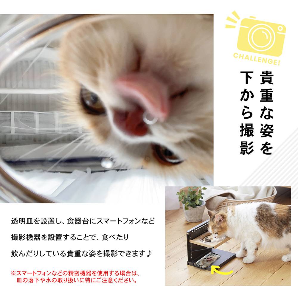 LIFELEX 高さと角度が変えられる猫用食器台　ＰＪ１２－０３８４　ブラック