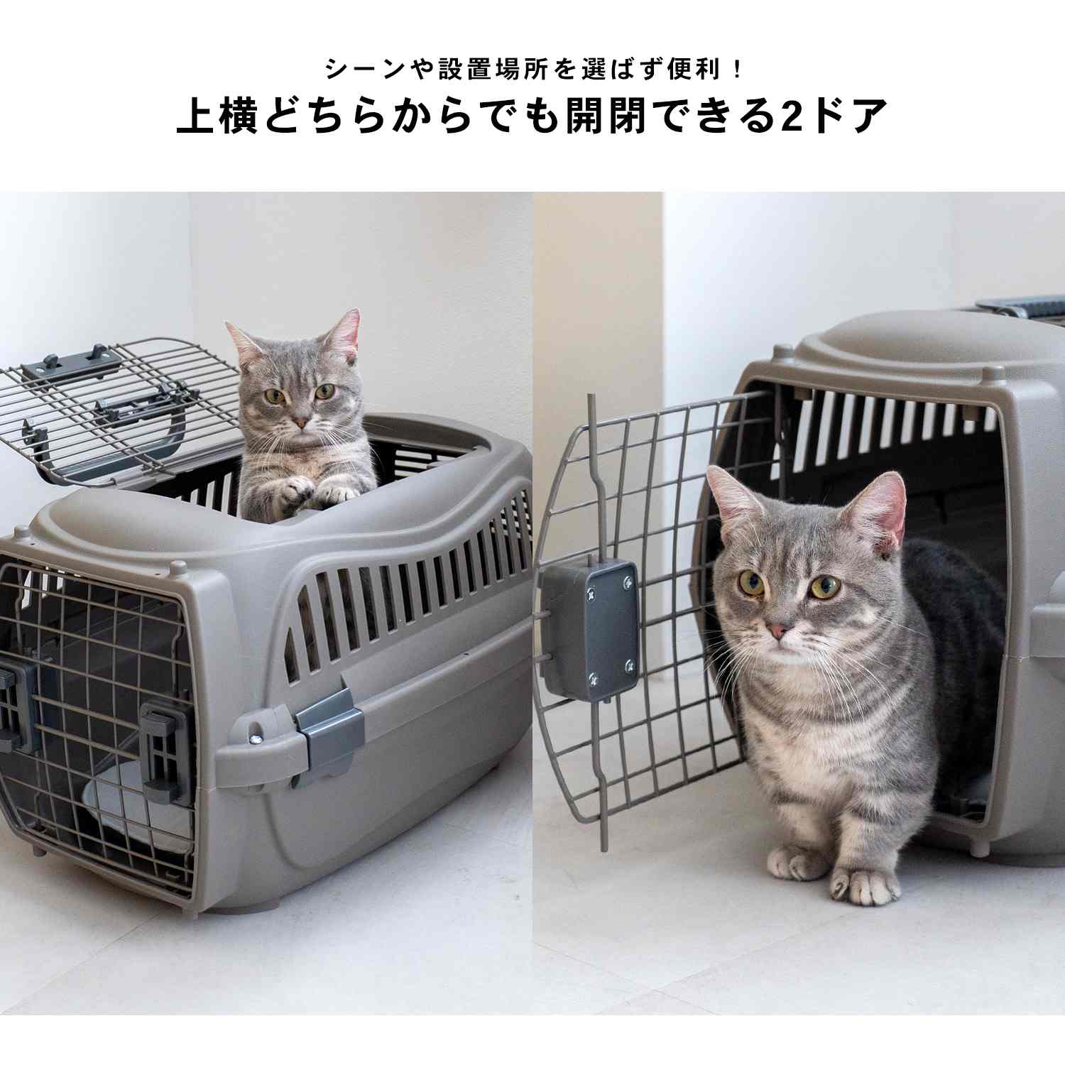 LIFELEX　２ドアハードキャリー　ワイドハンドル　ブラウン　Ｍ ブラウン M