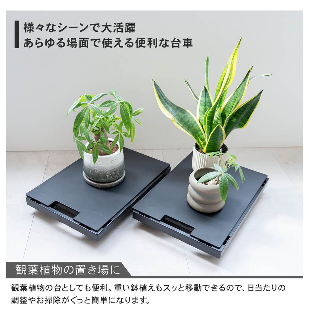 LIFELEX インテリアベースII 取手付 4330-7 BK ×6個セット ブラック セット