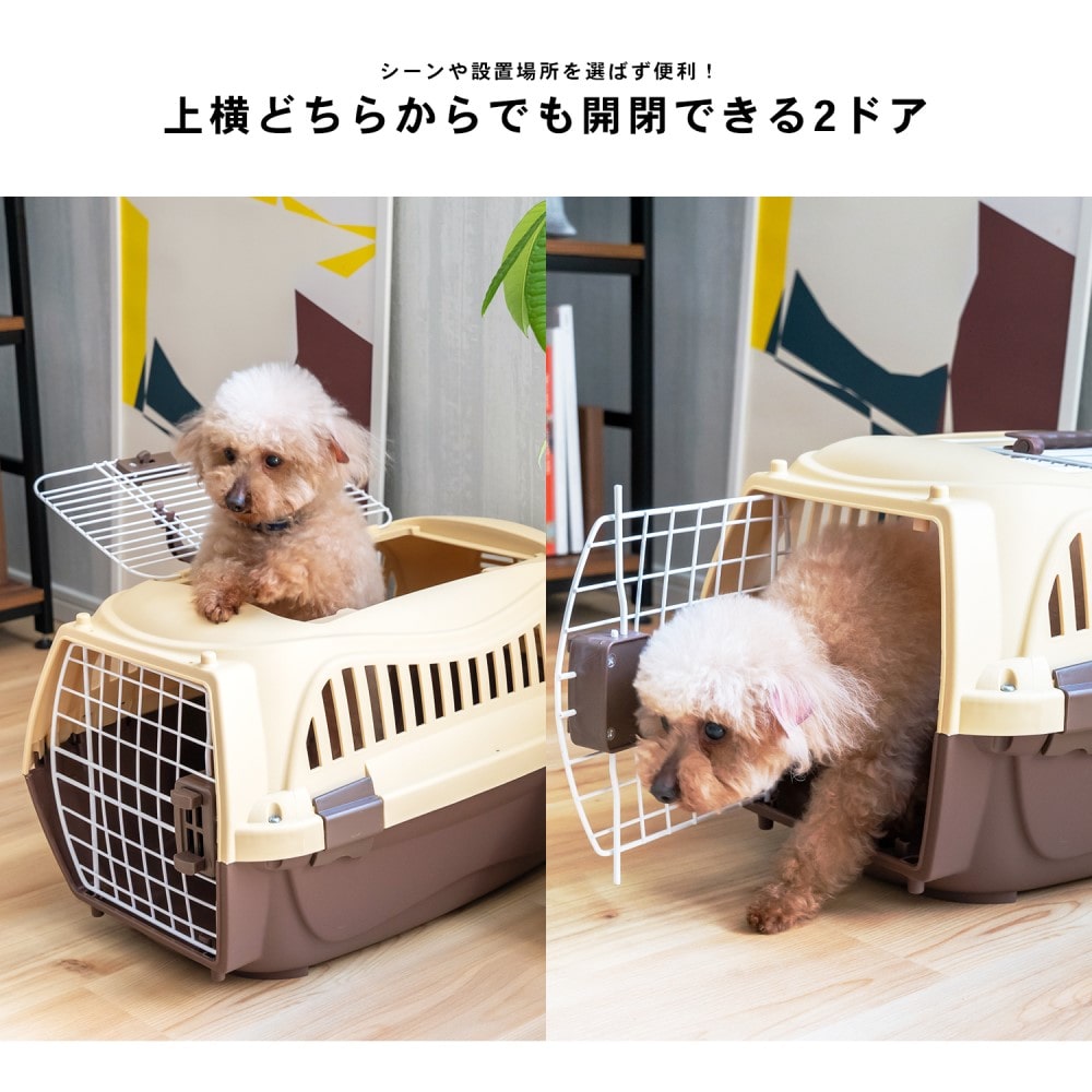 コーナン オリジナル ２ドアハードキャリーｍ チョコ ｍチョコ ペット ホームセンターコーナンの通販サイト