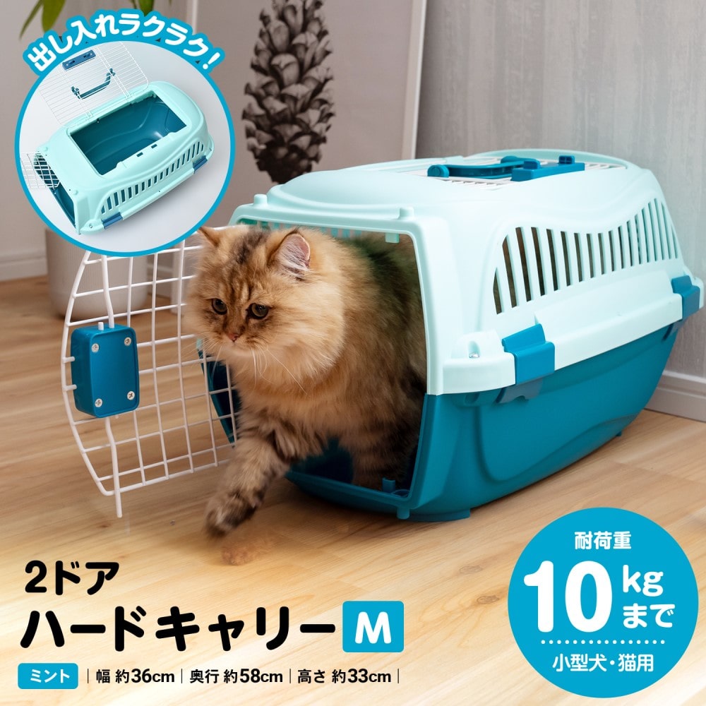 ２ドアハードキャリーＭ　ミント