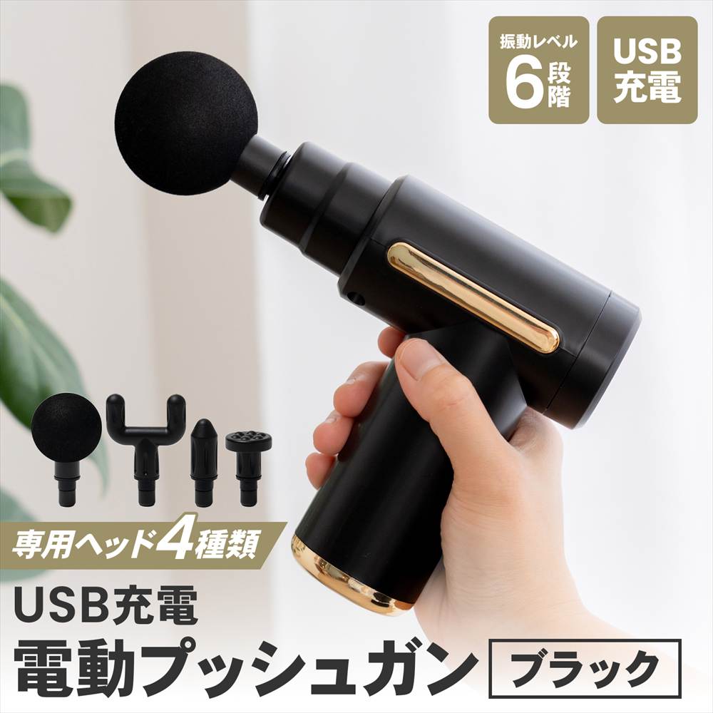 PortTech USB充電 電動プッシュガン BLK DM－720: 家電