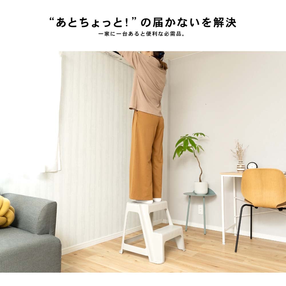 ＰＣ２段踏み台 大 約幅48×奥行48×高さ45cm 耐荷重：約100kg 大 （約幅48×奥行48×高さ45cm）