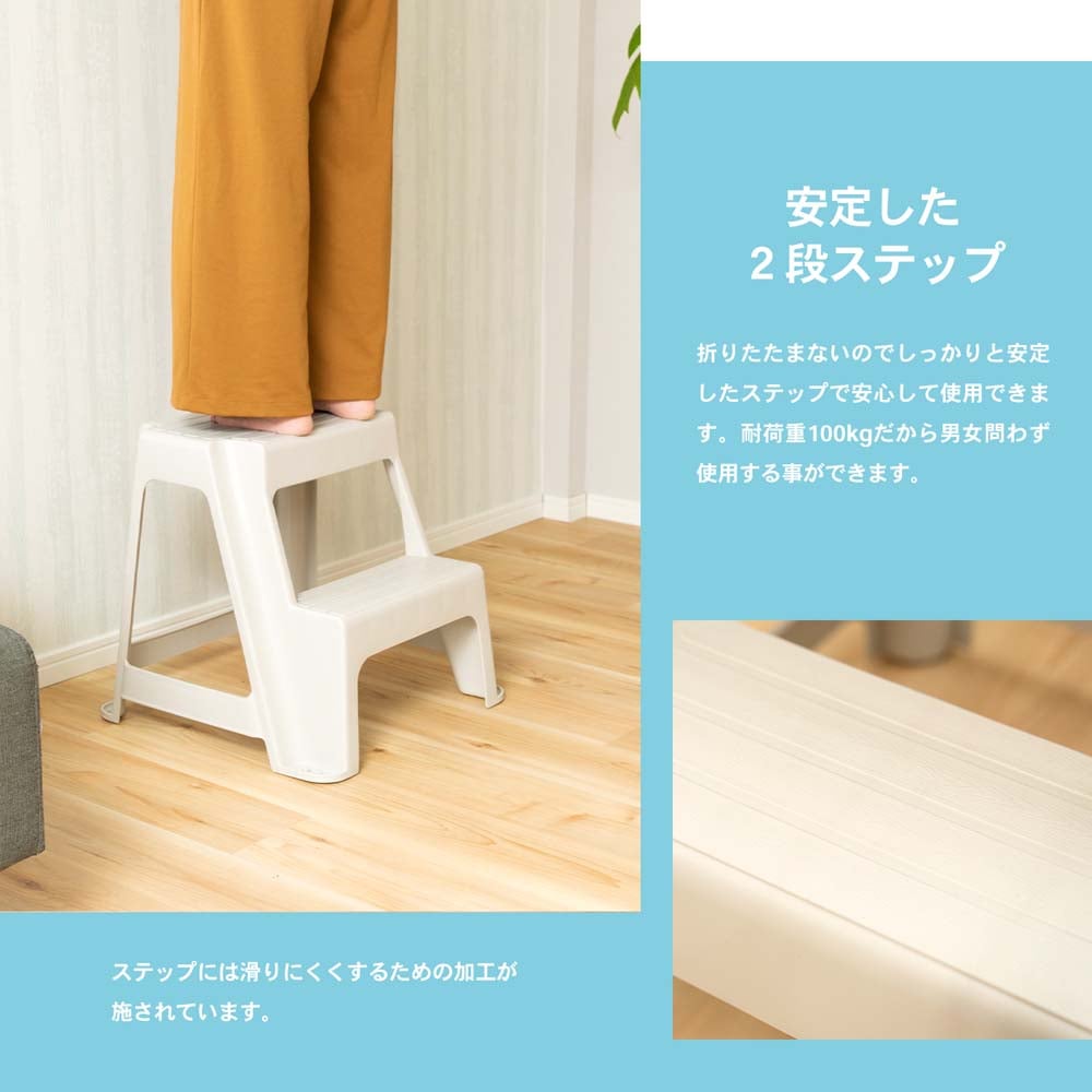 ＰＣ２段踏み台 大 約幅48×奥行48×高さ45cm 耐荷重：約100kg 大 （約幅48×奥行48×高さ45cm）