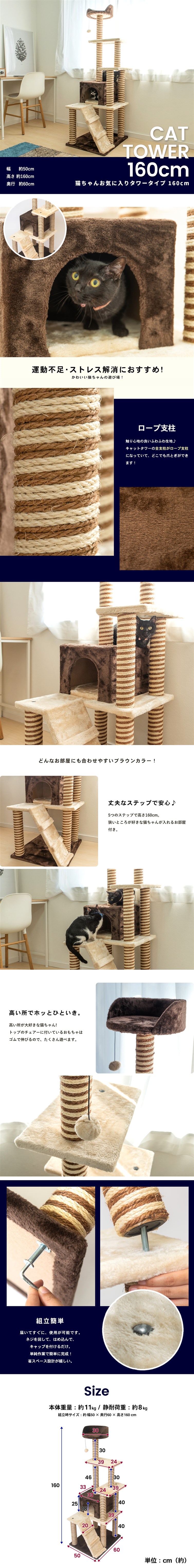 画像a