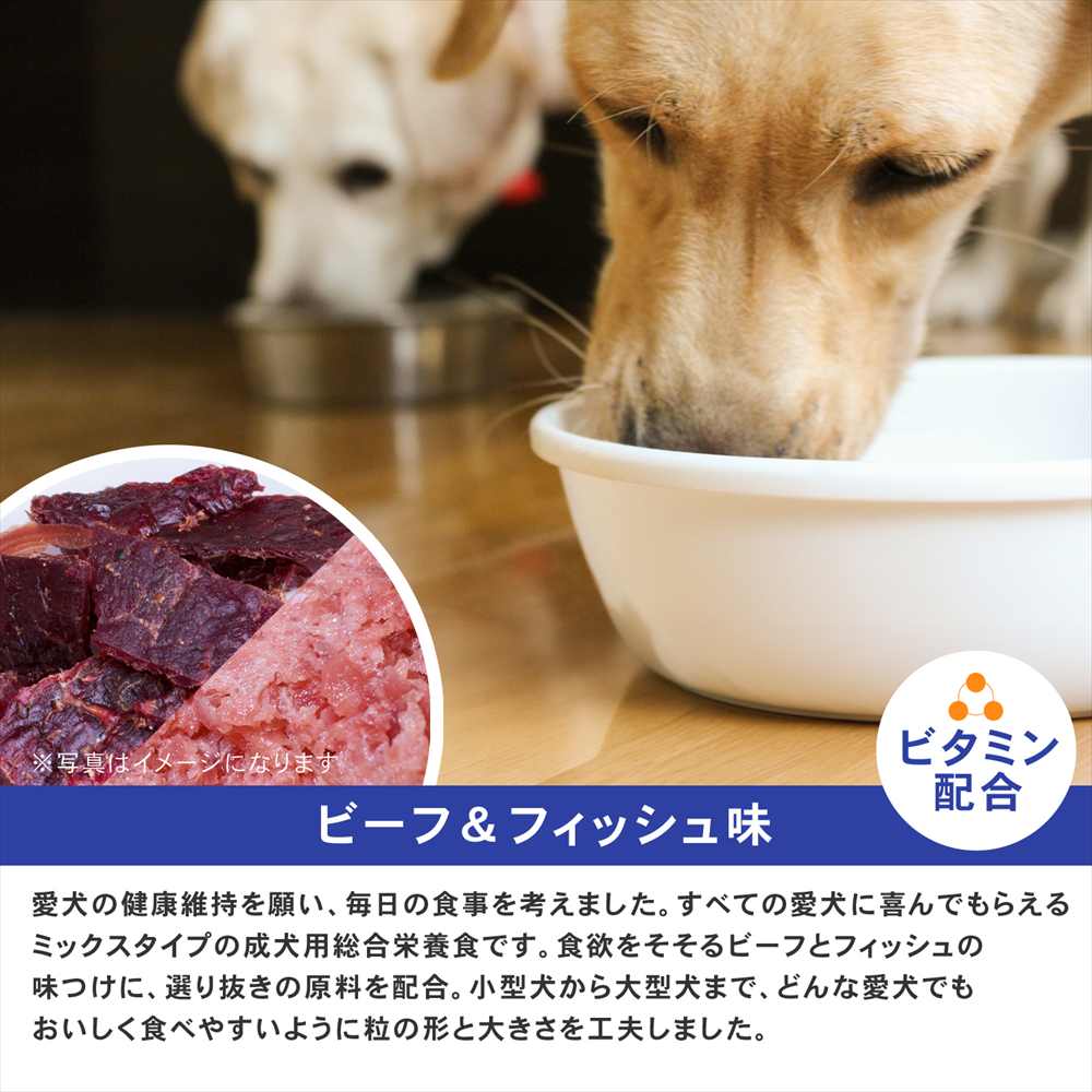 【まとめてお得】LIFELEX ドッグフード ドッグタイムス 10kg×2個セット 全犬種 成犬用総合栄養食 ドライフード ビーフ＆フィッシュ味 大容量 ビーフ＆フィッシュ味　全犬種用　×２個セット