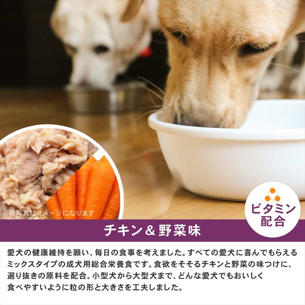 【まとめてお得】LIFELEX ドッグフード ドッグタイムス 10kg×2個セット 全犬種 シニア用総合栄養食 ドライフード チキン＆野菜味 大容量 コスパ チキン＆野菜味　シニア用　×２個セット