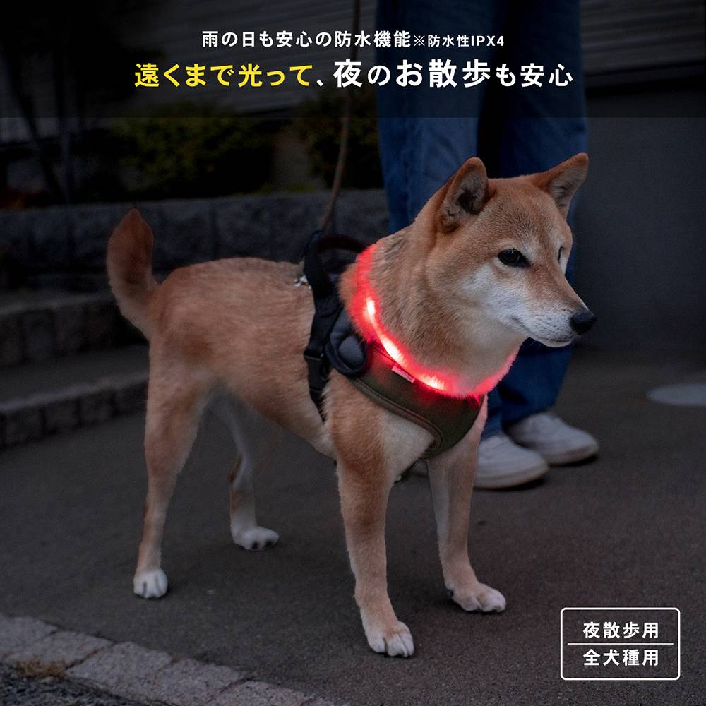 充電式ＬＥＤフラッシュライトリング　レッド　ＳＸ１２－６０６０ レッド