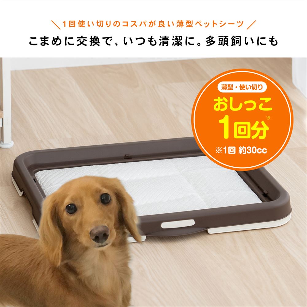 LIFELEX　薄型ペットシーツこまめに交換用　レギュラー　２００枚 レギュラー