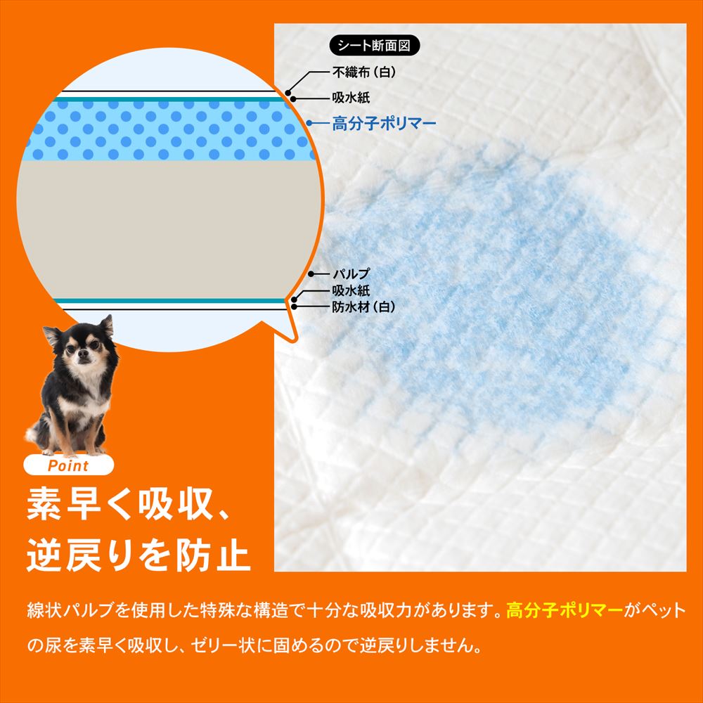 LIFELEX　薄型ペットシーツこまめに交換用　レギュラー　２００枚 レギュラー