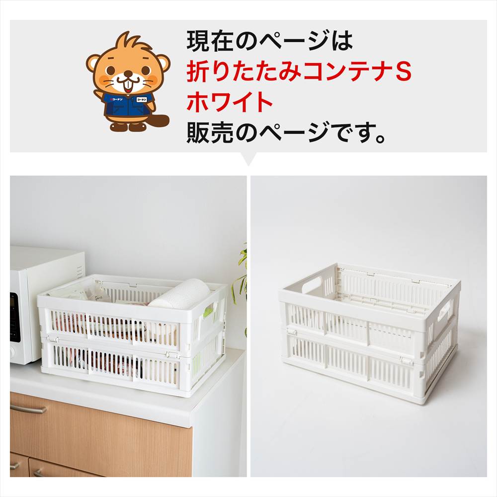 LIFELEX　折りたたみコンテナＳ　ホワイト 単品