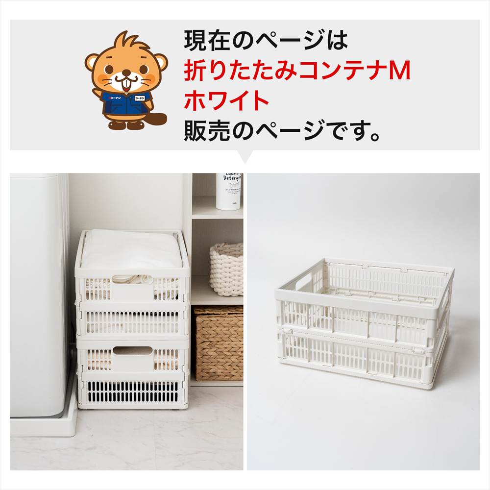 LIFELEX　折りたたみコンテナＭ　ホワイト 単品