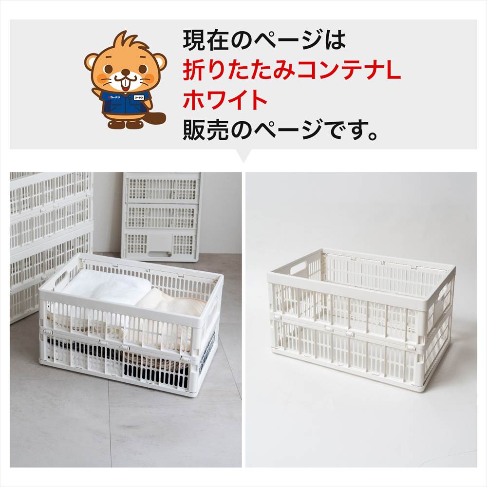 LIFELEX　折りたたみコンテナＬ　ホワイト 単品