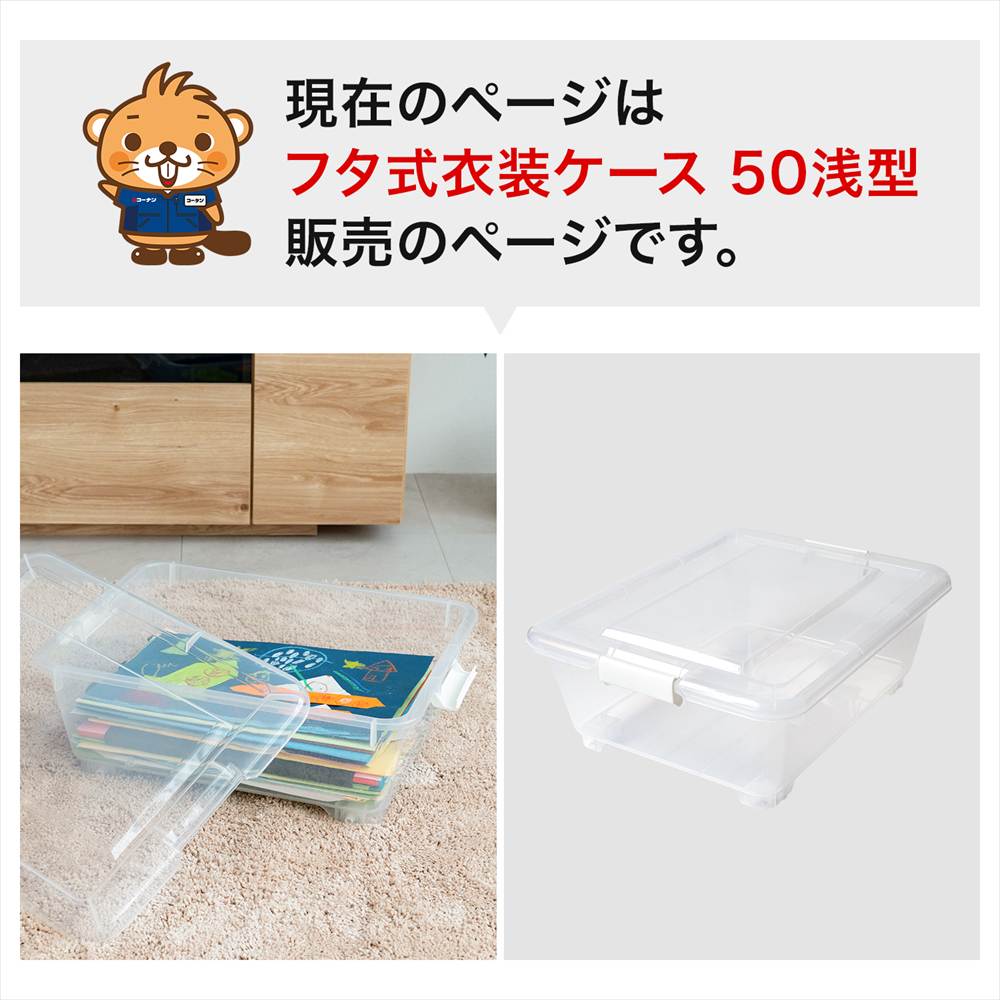 LIFELEX 衣装ケース 収納ボックス 押入れ クローゼット 衣類収納 フタ