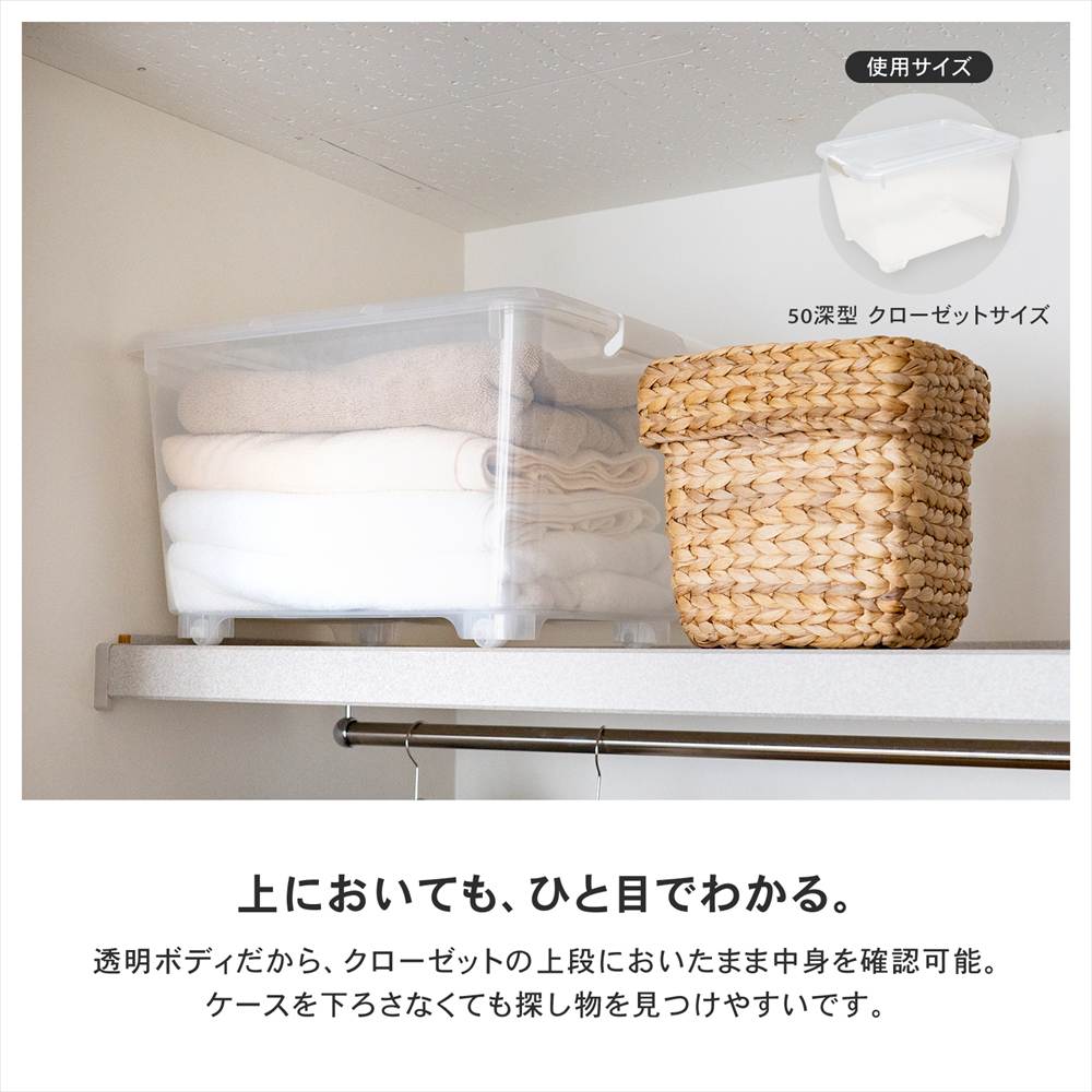 LIFELEX 衣装ケース 収納ボックス 押入れ クローゼット 衣類収納 フタ