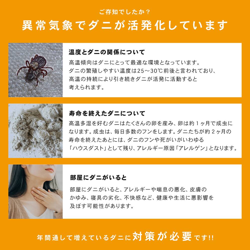 LIFELEX　ダニ捕獲シート　３Ｐ