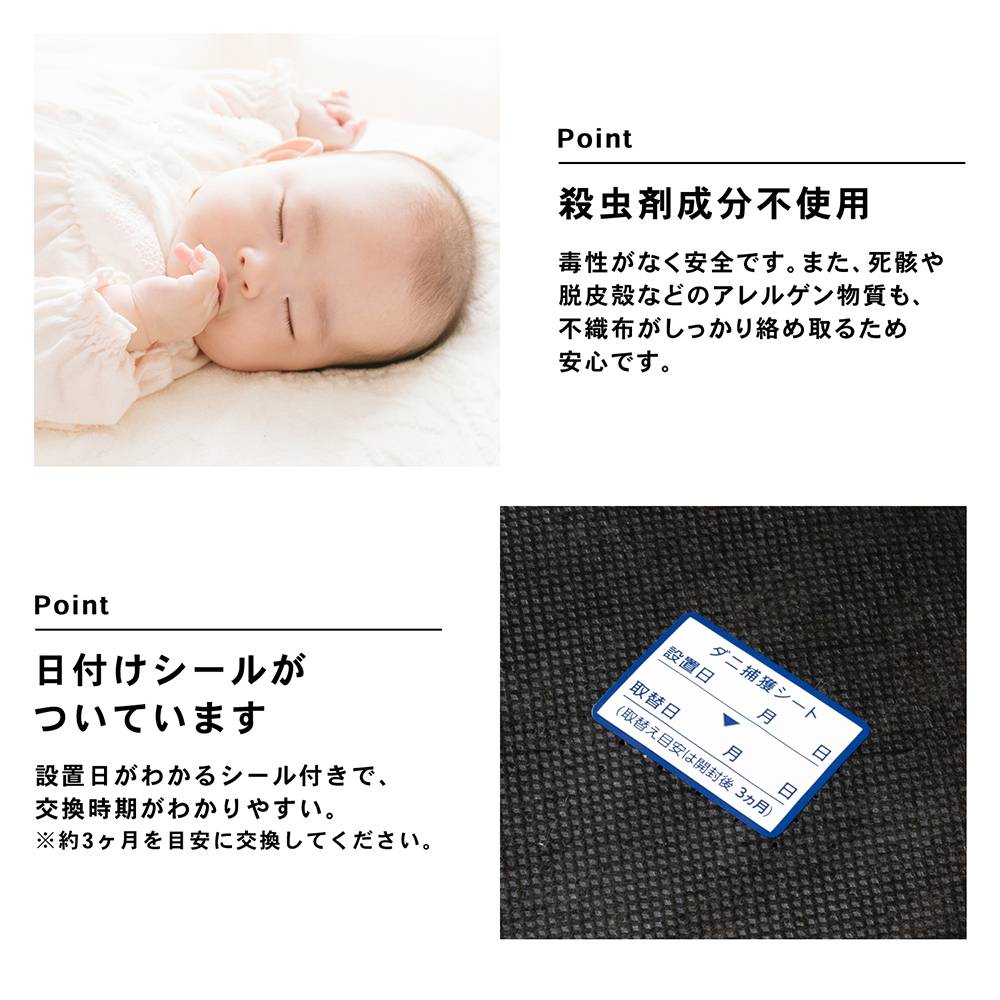 LIFELEX　ダニ捕獲シート　３Ｐ