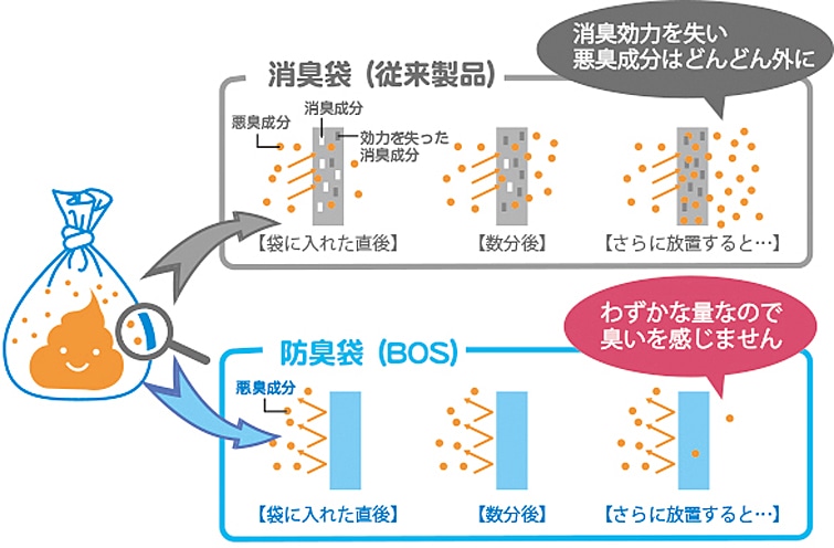 画像c