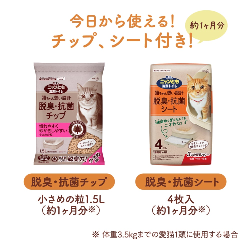 市場 花王 ニャンとも清潔トイレセット シート付 約1か月分チップ 猫用トイレ本体