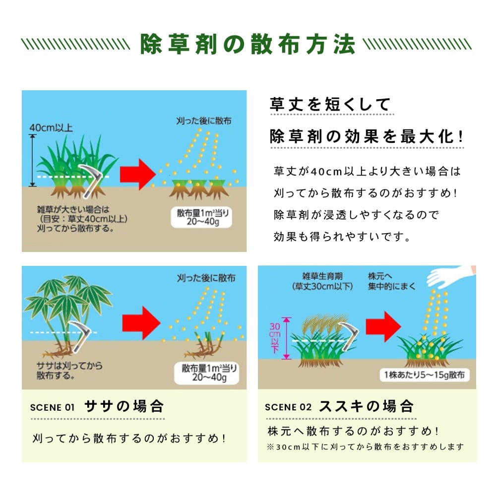 レインボー薬品　ネコソギトップＷ　３ｋｇ