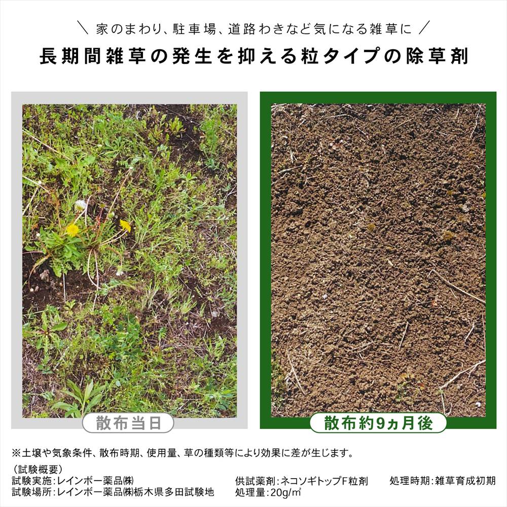 レインボー薬品　ネコソギトップＦ　３ｋｇ 単品