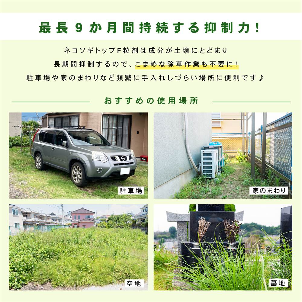 レインボー薬品　ネコソギトップＦ　３ｋｇ 単品
