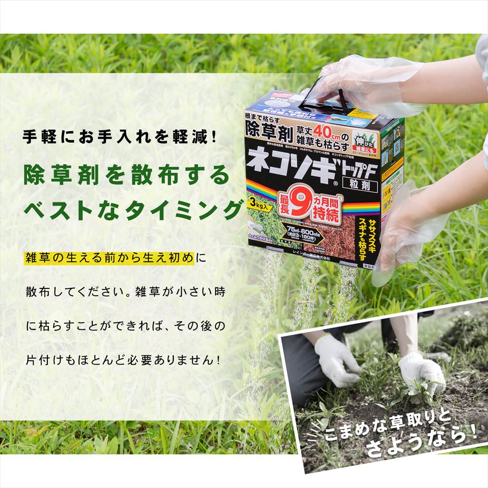 レインボー薬品　ネコソギトップＦ　３ｋｇ 単品