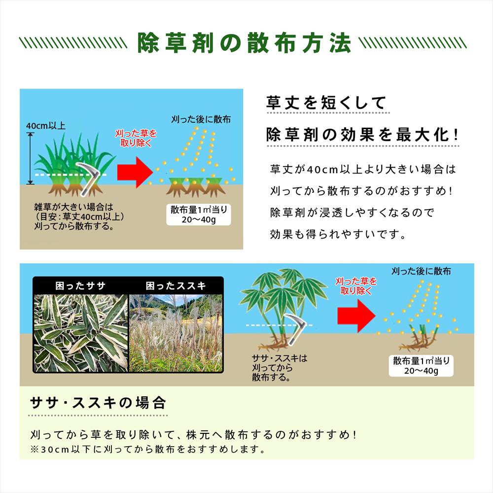 レインボー薬品　ネコソギトップＦ　３ｋｇ 単品