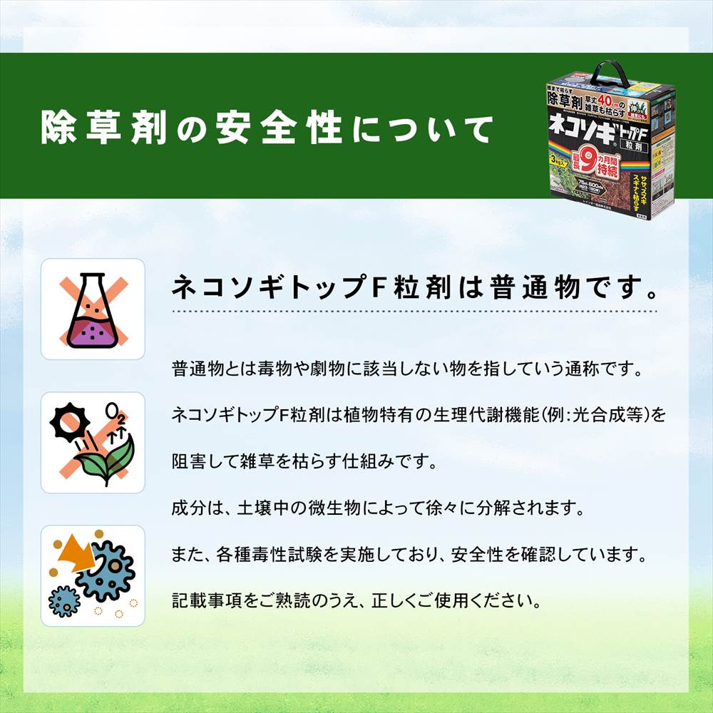 レインボー薬品　ネコソギトップＦ　３ｋｇ 単品