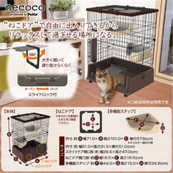 画像c