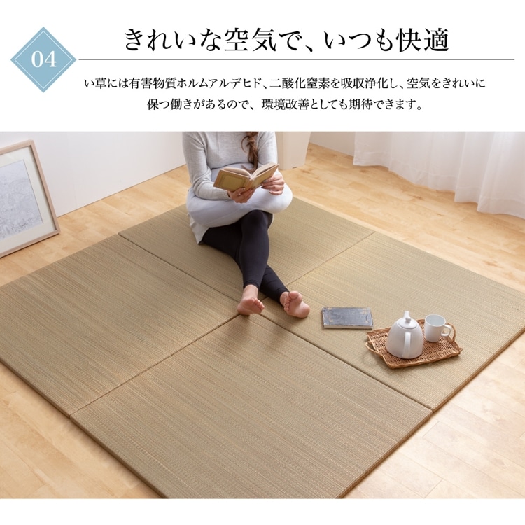6畳  防虫シート 畳下 畳防虫シート 床下 防ダニ 防虫 畳ケア 畳グッズ 畳シート たたみ 文化たたみ防虫シート 押し入れ クローゼット