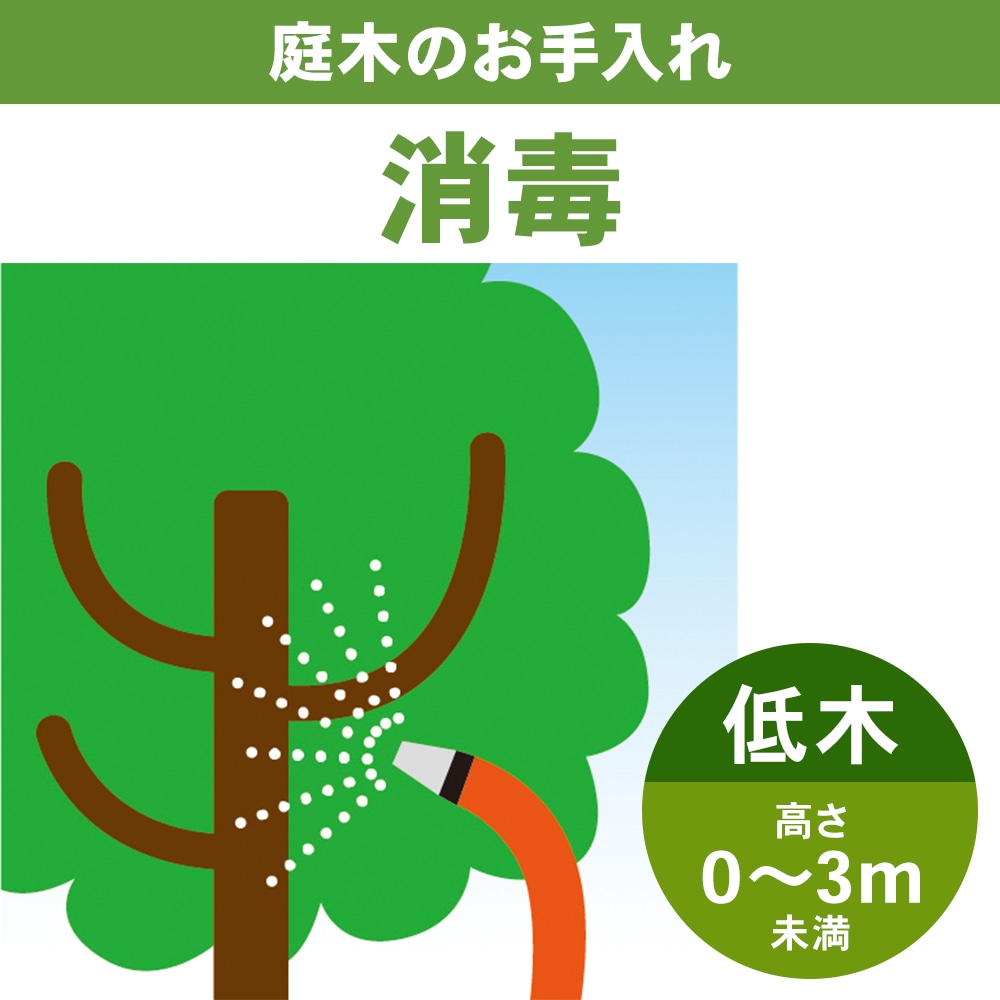 庭木消毒　低木０～３ｍ未満