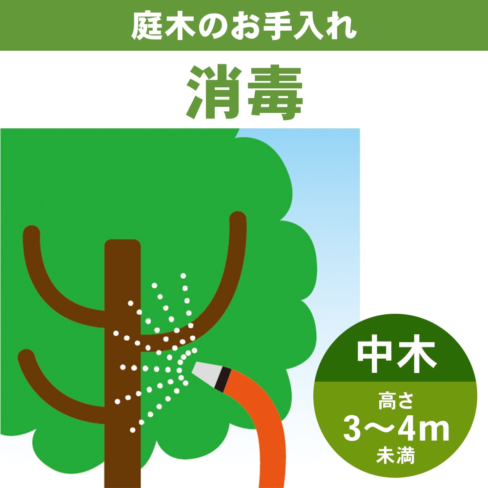 庭木消毒　中木３～４ｍ未満