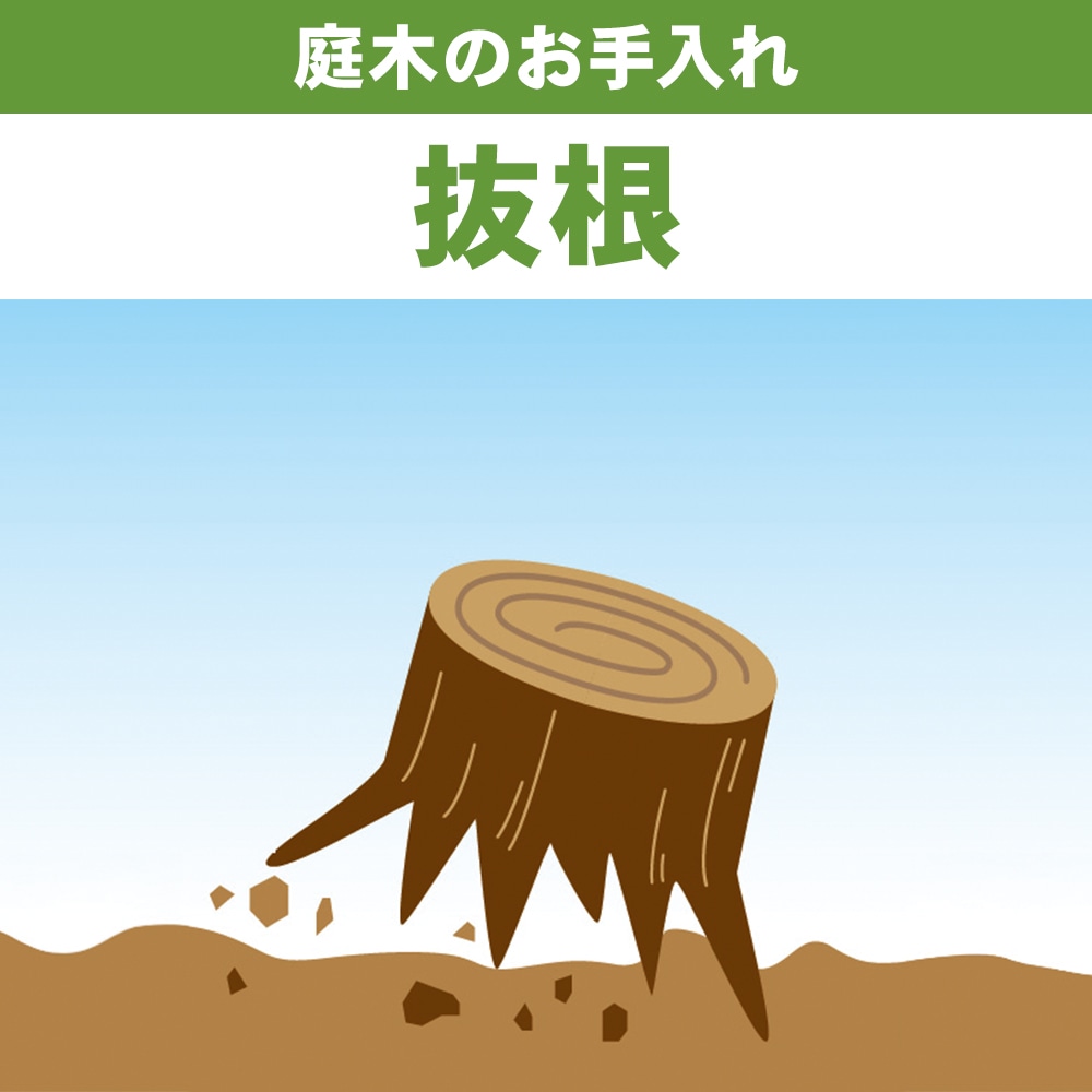 庭木の抜根
