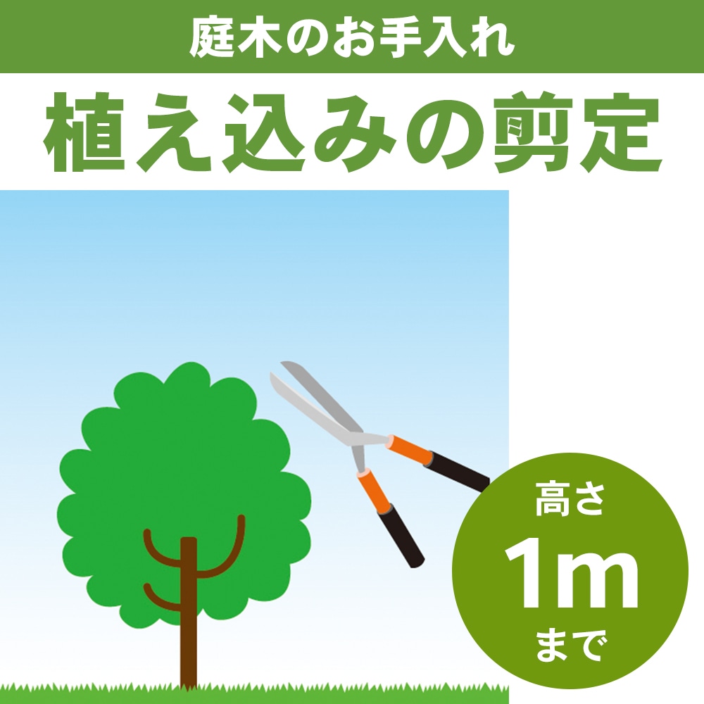 植込み剪定　高さ１ｍまで