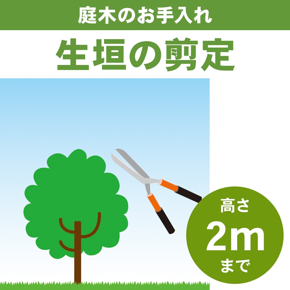 生垣の剪定　高さ２ｍまで