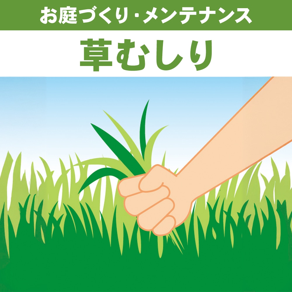除草　草むしり　１㎡あたり