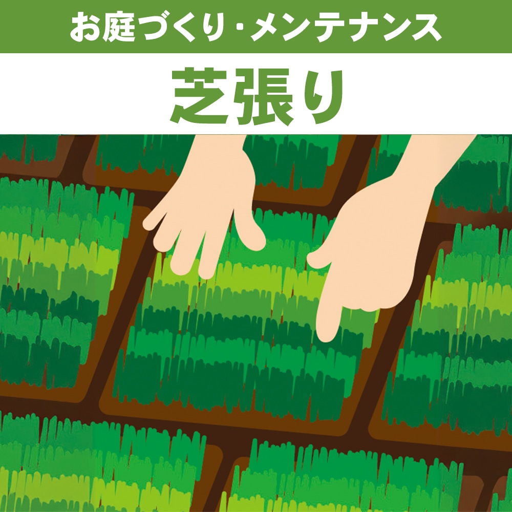 芝生　芝張り　１㎡あたり