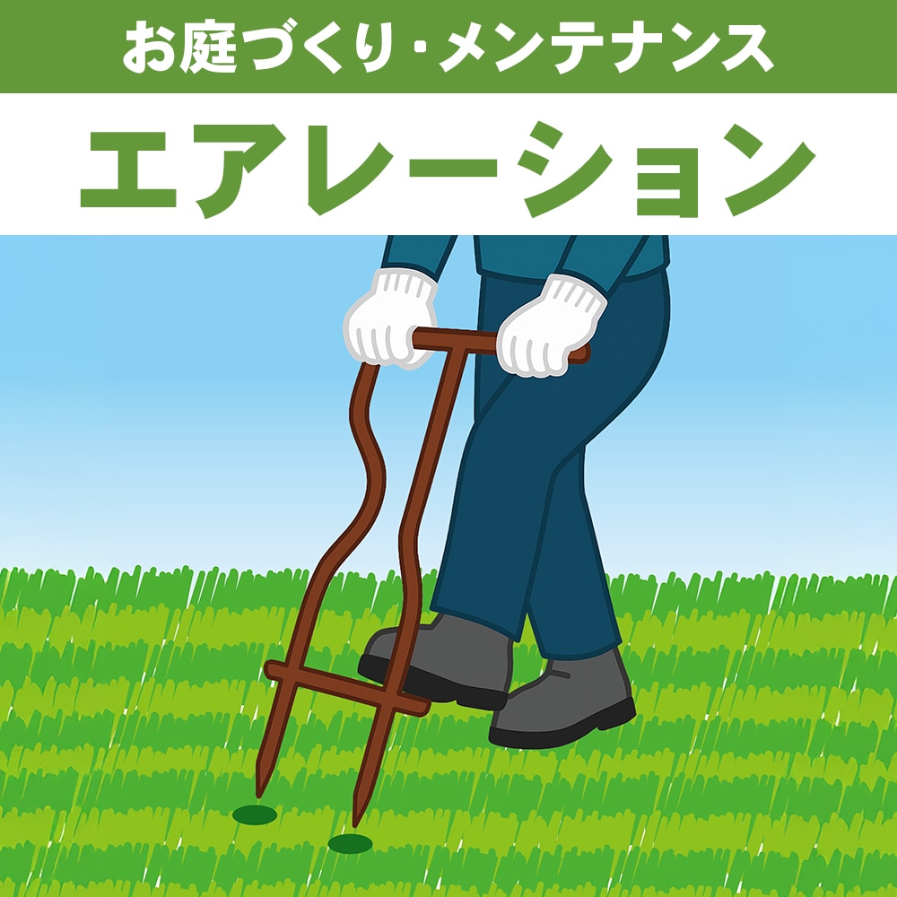 芝生　エアレーション　１㎡あたり